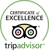 tripadvisor